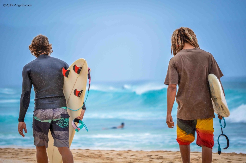 Operation Endless Summer hits Oahu's North Shore
